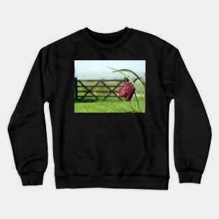 The Leper Lily Crewneck Sweatshirt